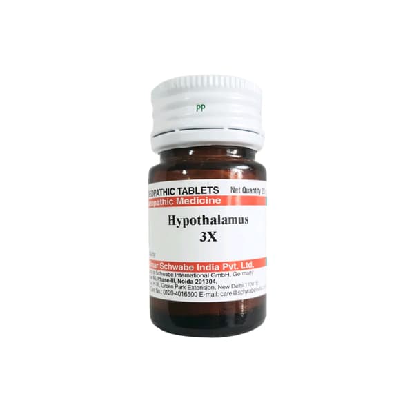 Hypothalamus 2
