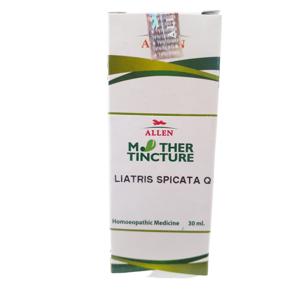 Liatris Spicata 2