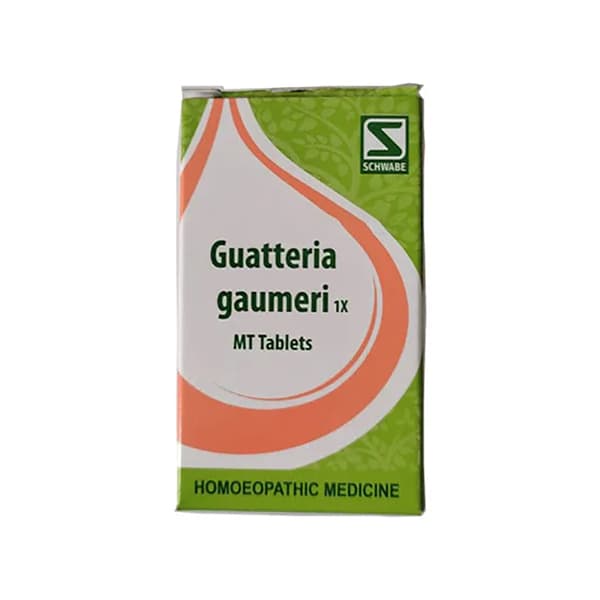 Guatteria Gaumeri