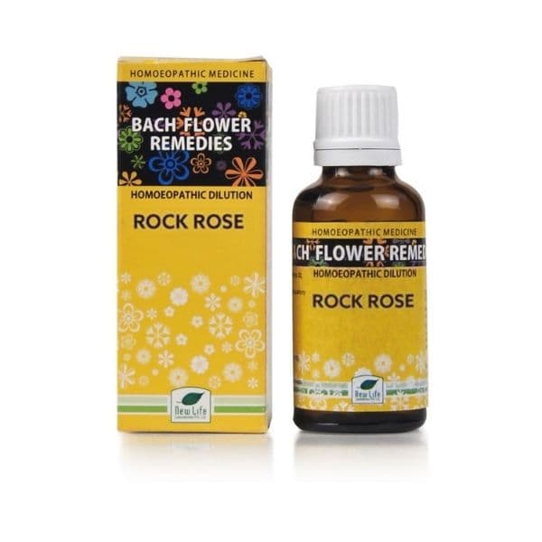 Rock Rose