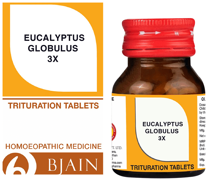 Eucalyptus Globules 2