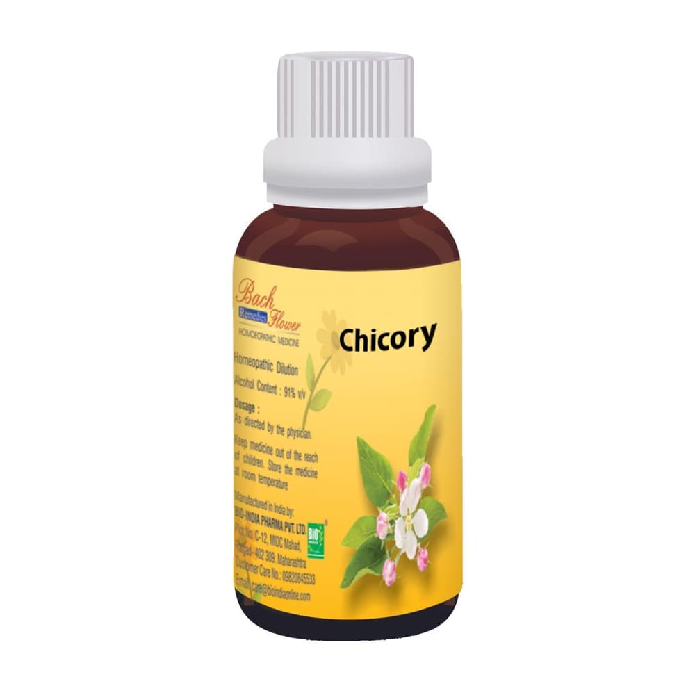Chicory