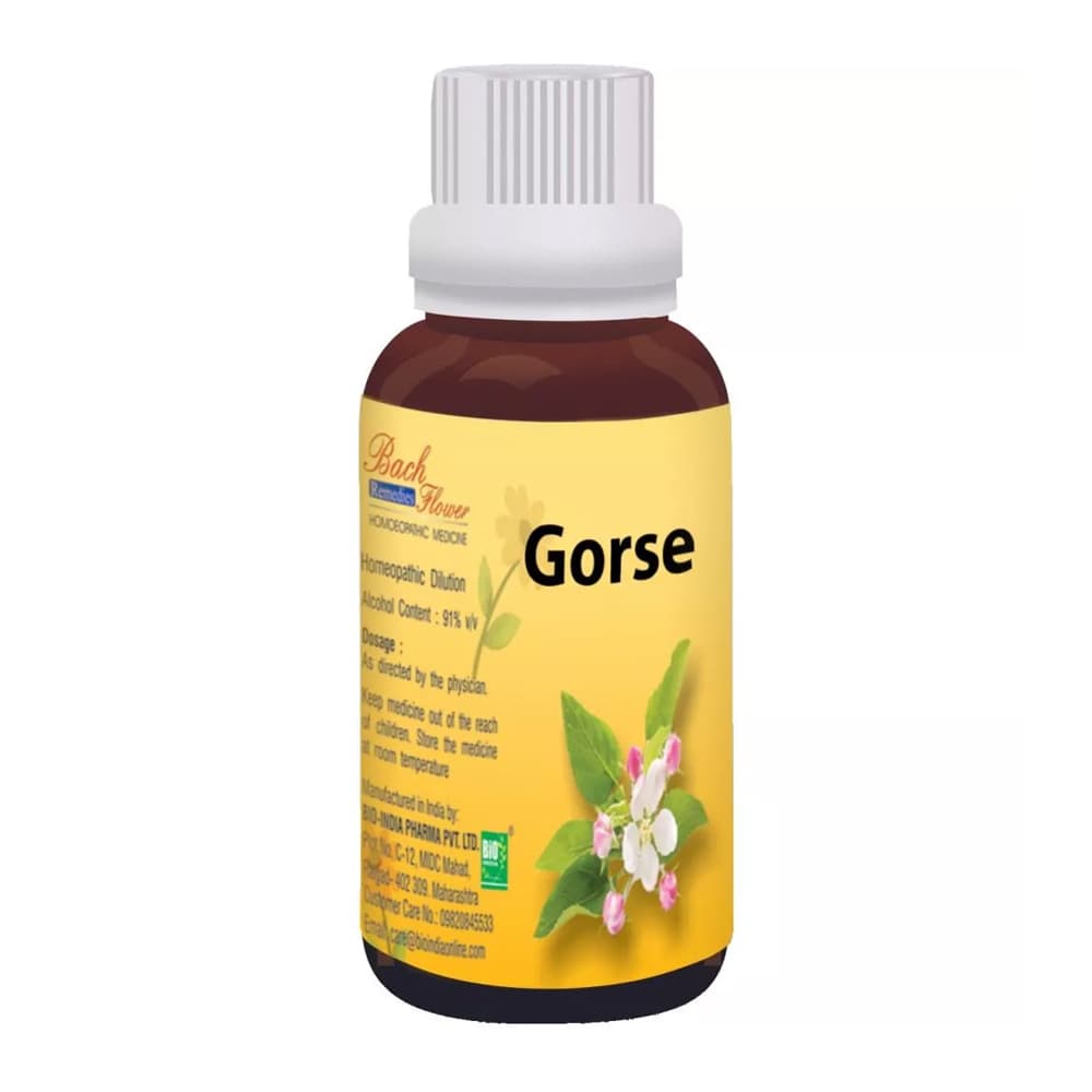 Gorse