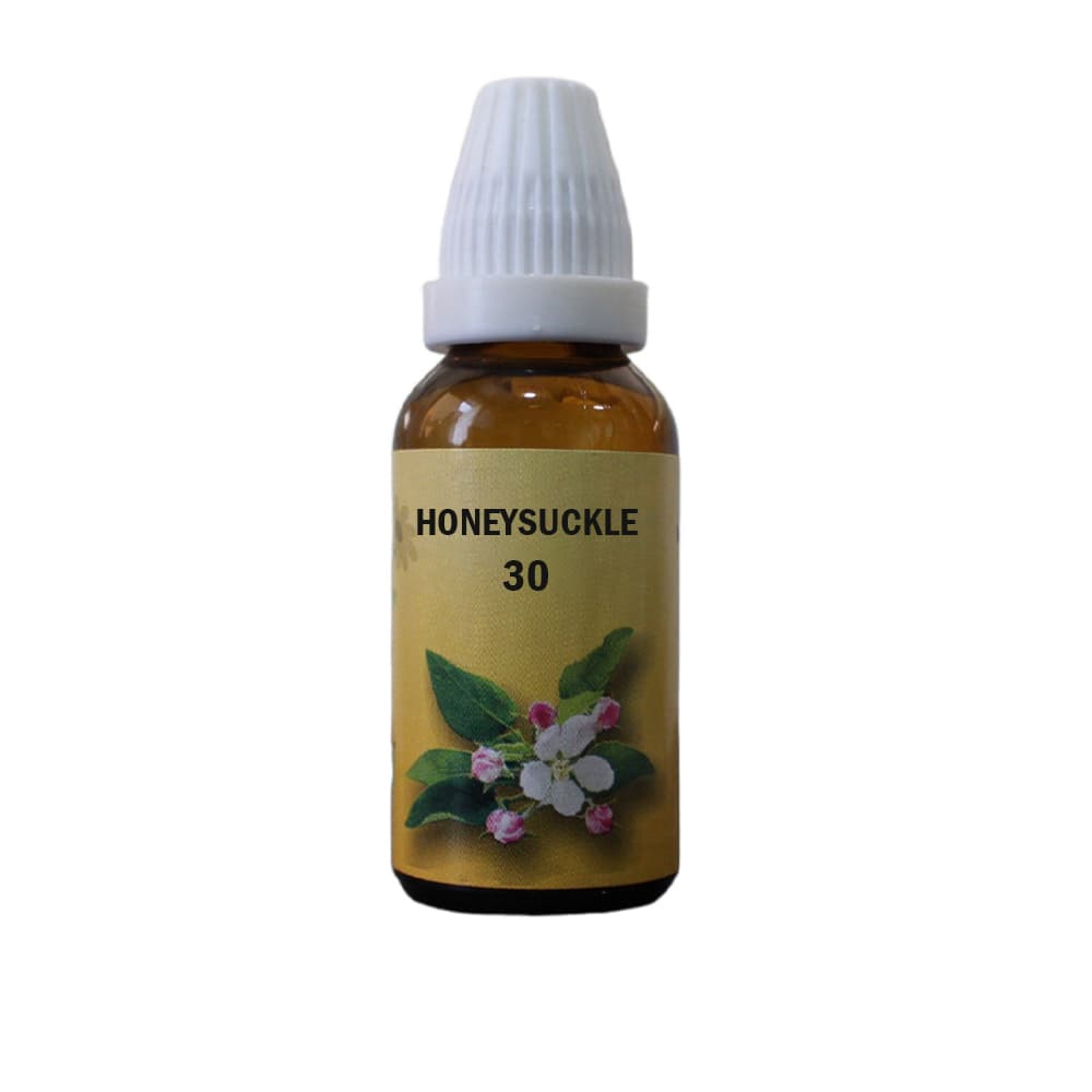 Honeysuckle