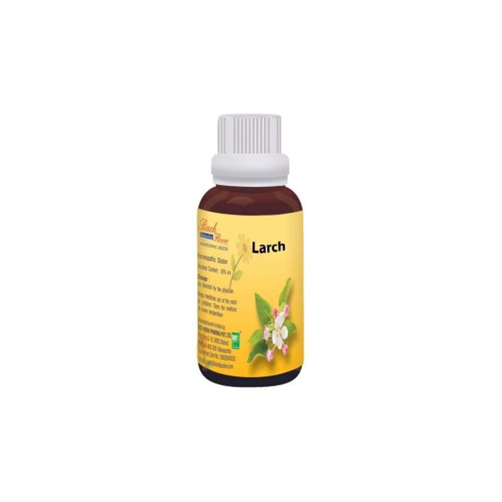 Larch