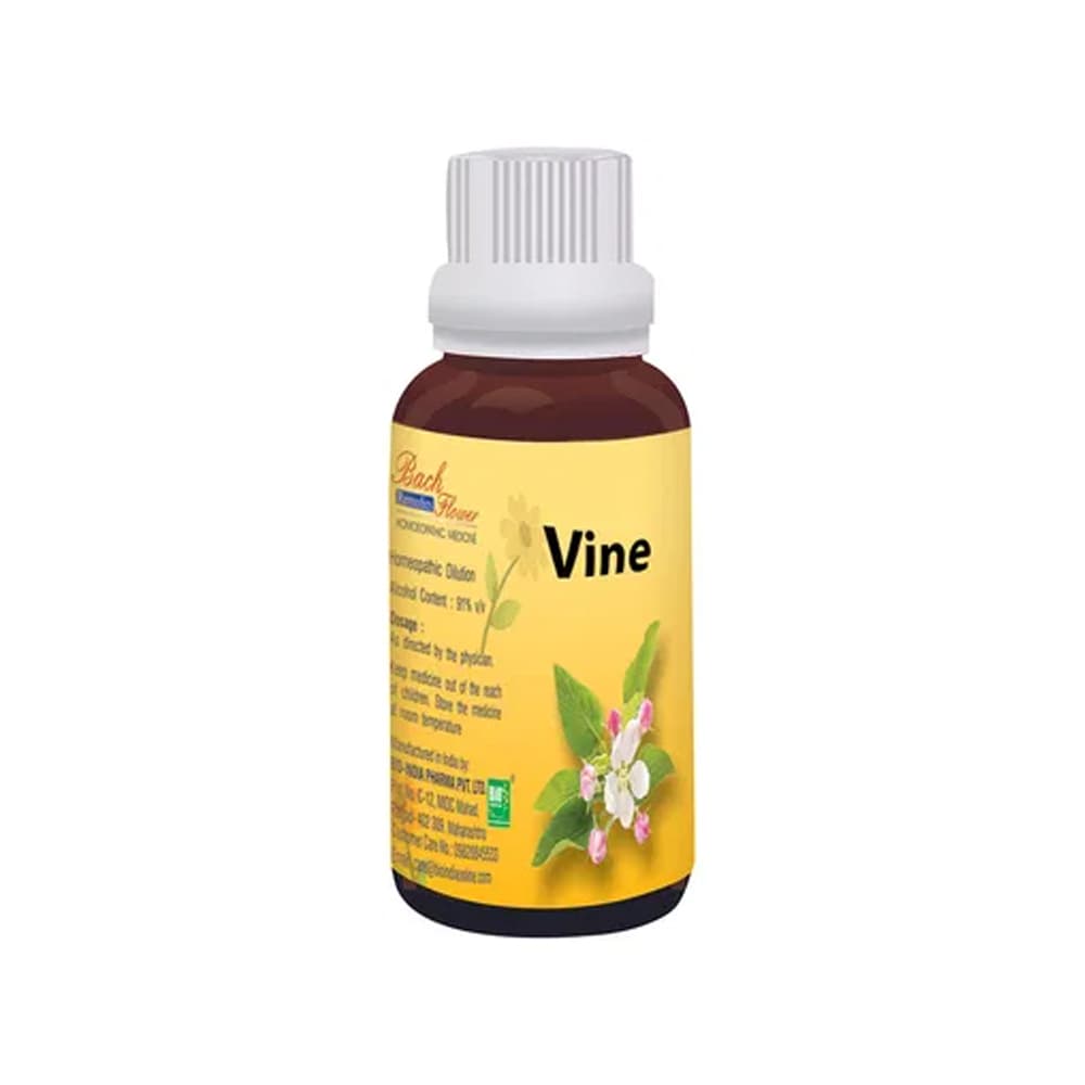 Vine