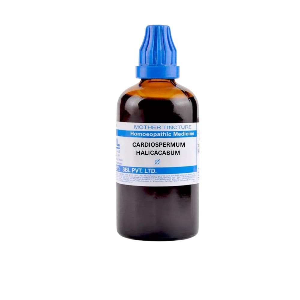 Cardiospermum Halicacabum 1