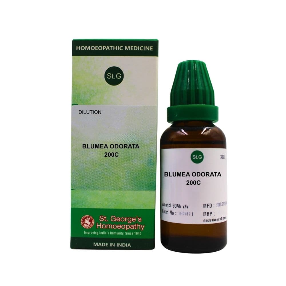 Blumea Odorata