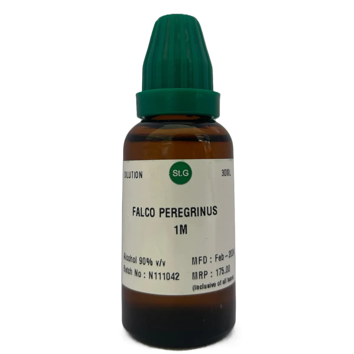 Falco Peregrinus 2