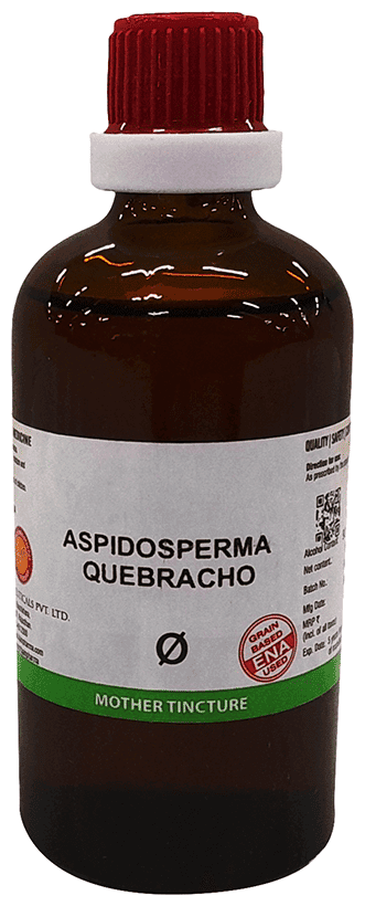 Aspidosperma Quebracho 2