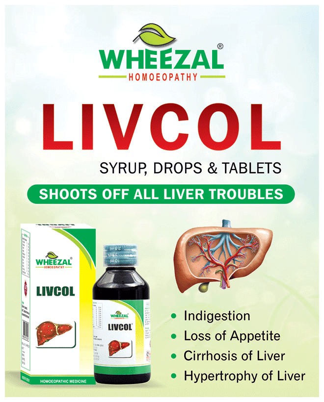 Livcol Sugar Free Syrup 3