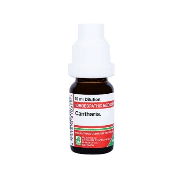 Cantharis