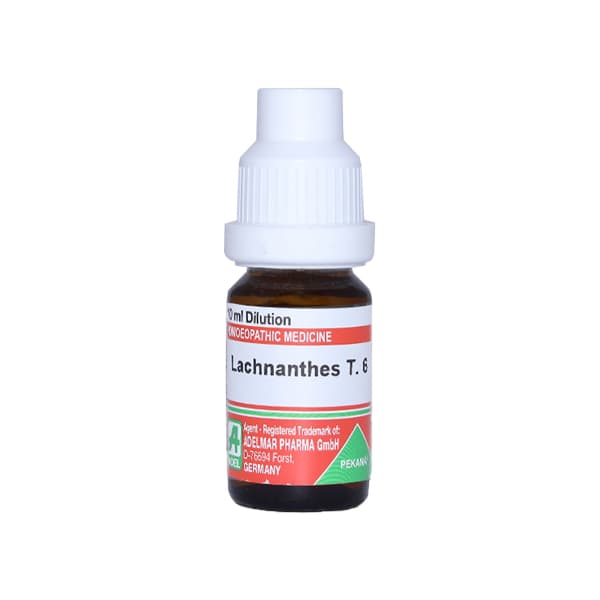 Lachnanthes Tinctoria
