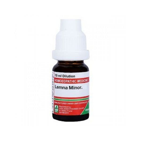 Lemna Minor