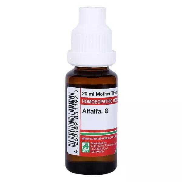 Alfalfa