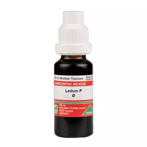 Ledum Palustre