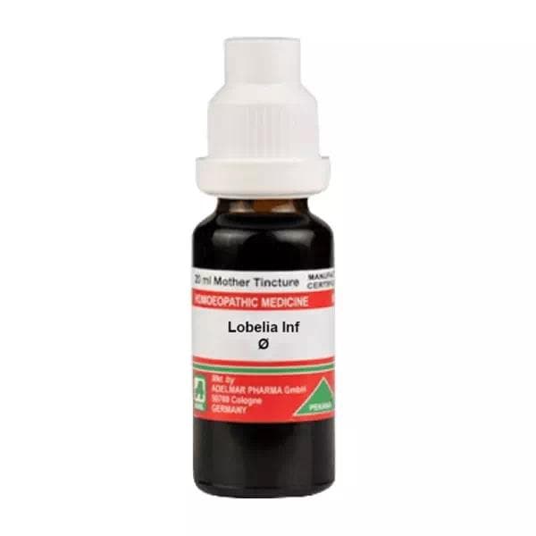Lobelia Inflata