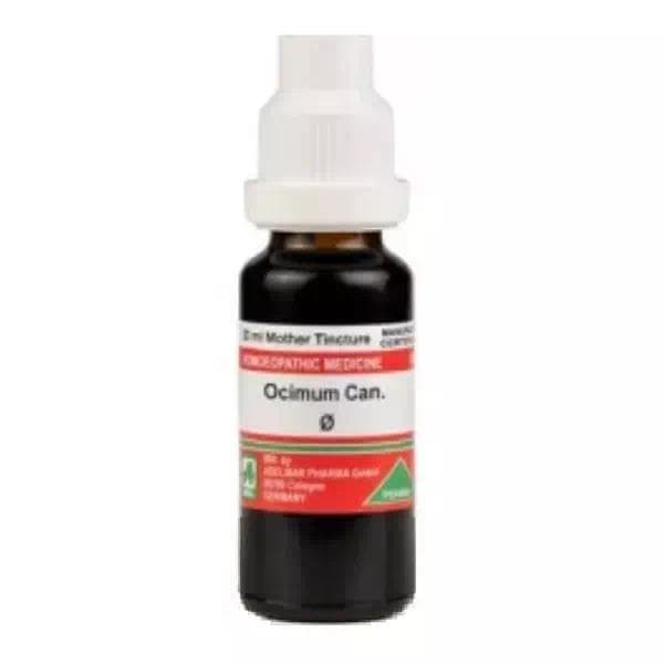 Ocimum Canum