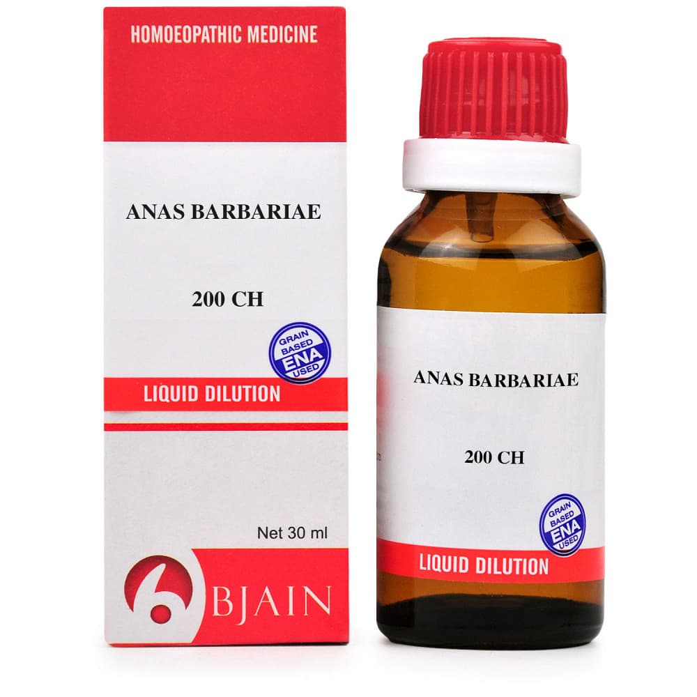 Anas Barbariae