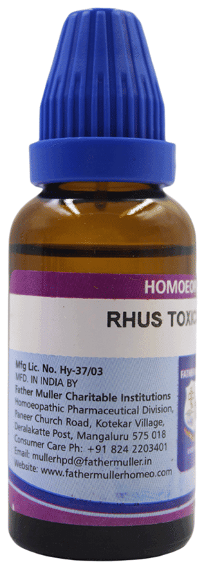 Rhus Toxicodendron 2