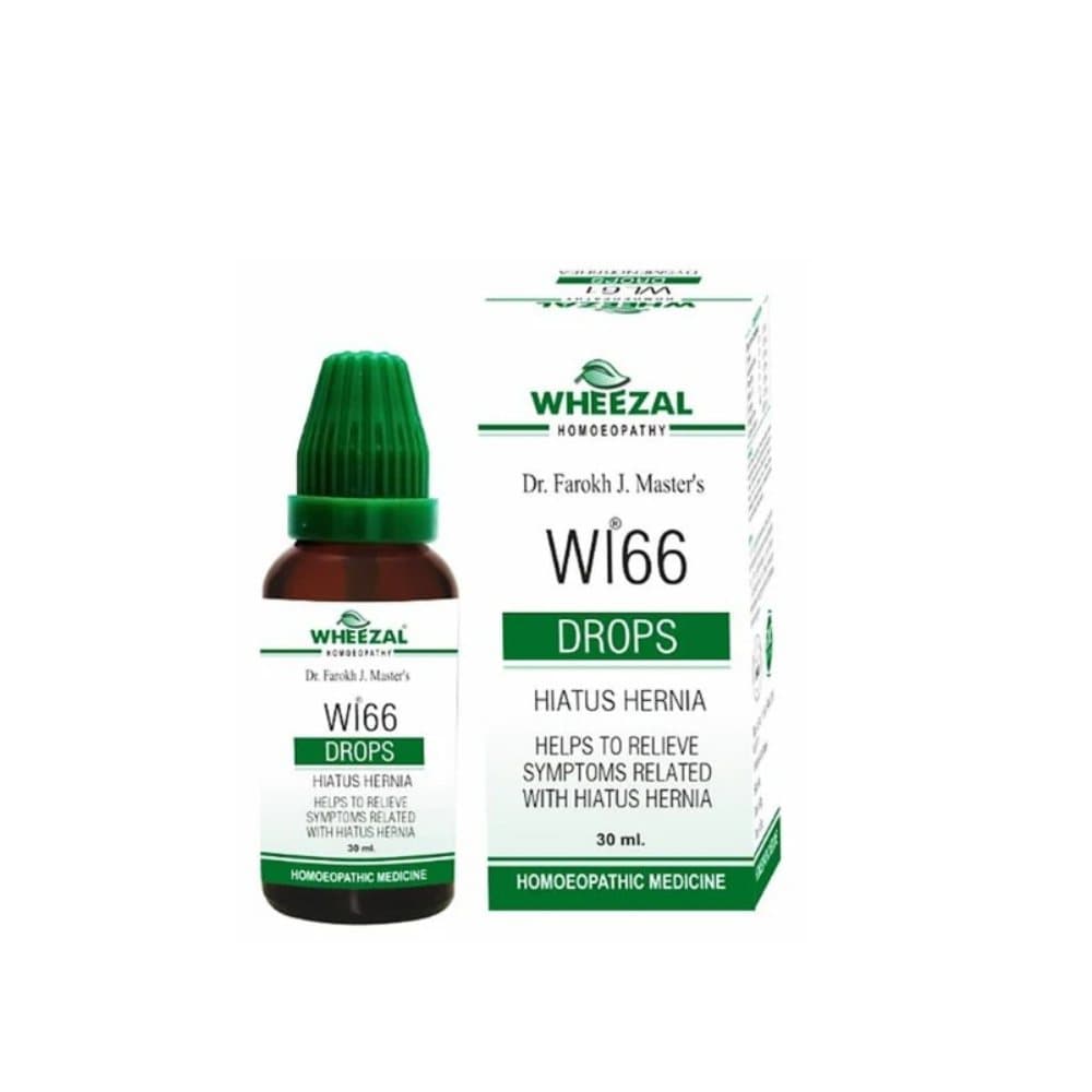 WHEEZAL WL 66 HIATUS HERNIA 1