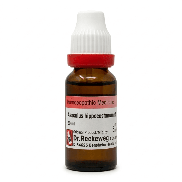 Aesculus Hippocastanum 3