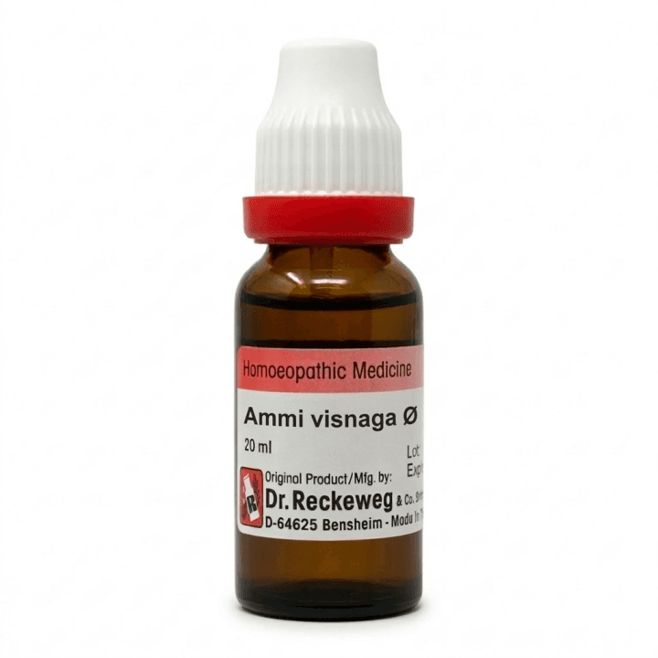 Ammi Visnaga 2