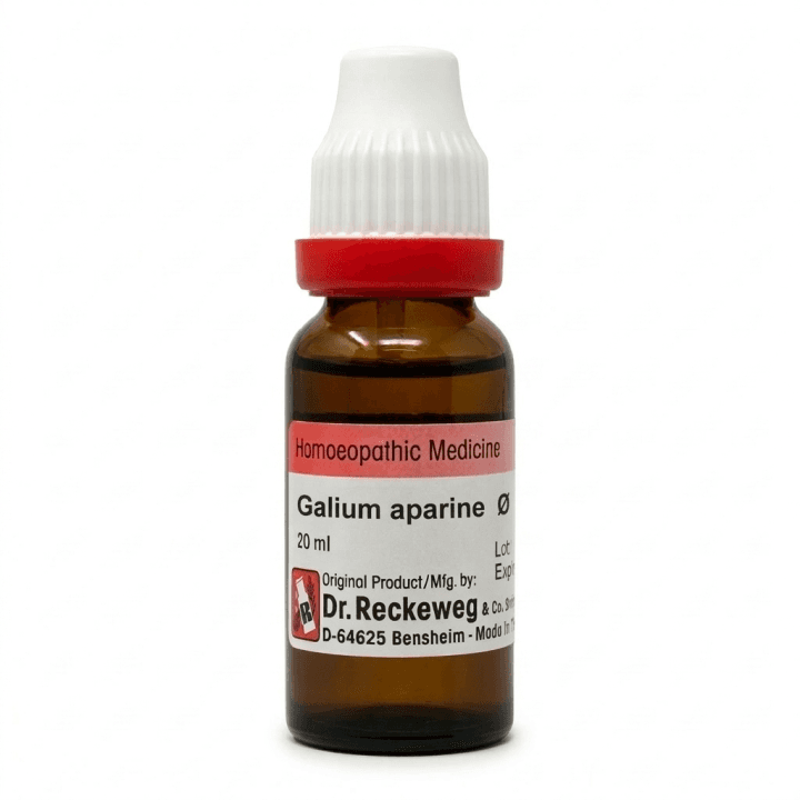 Galium Aparine 2