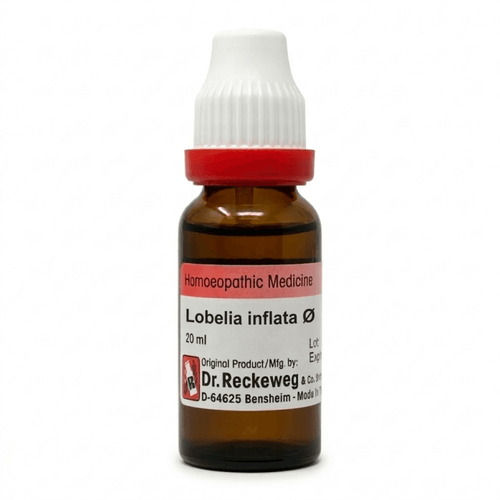 Lobelia Inflata 3