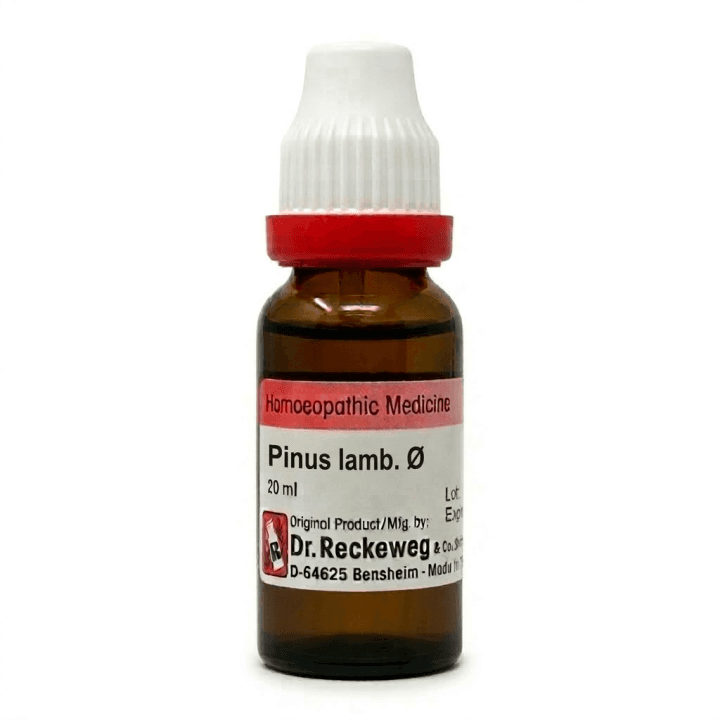 Pinus Lambertiana 2