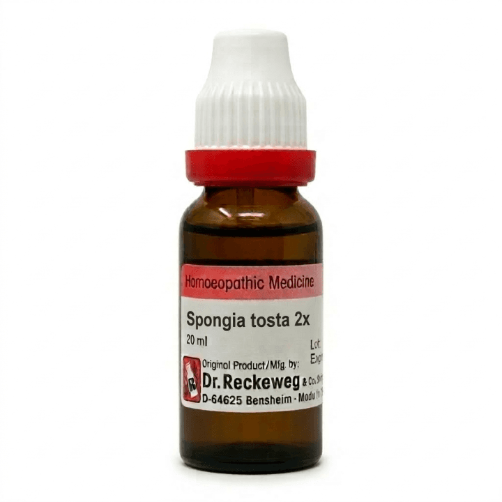 Spongia Tosta 2X 2
