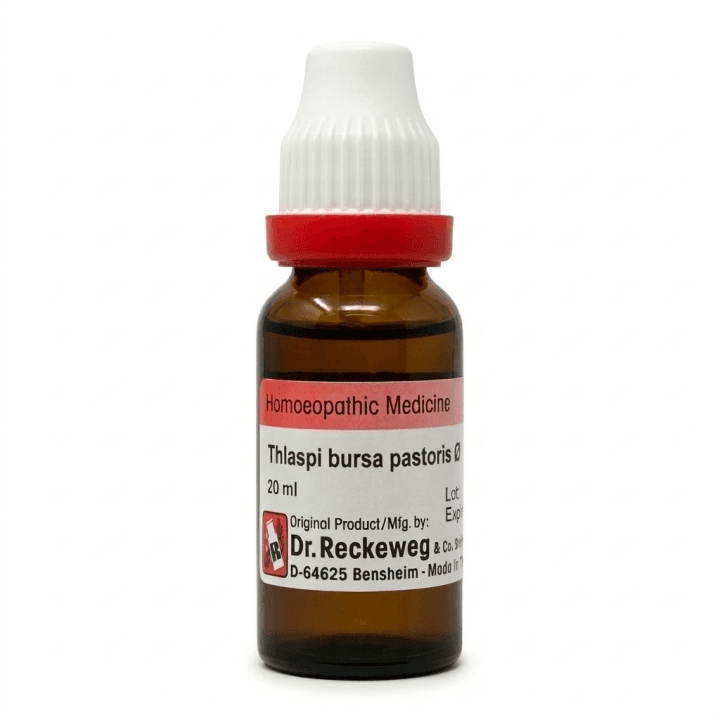 Thlaspi Bursa Pastoris 2