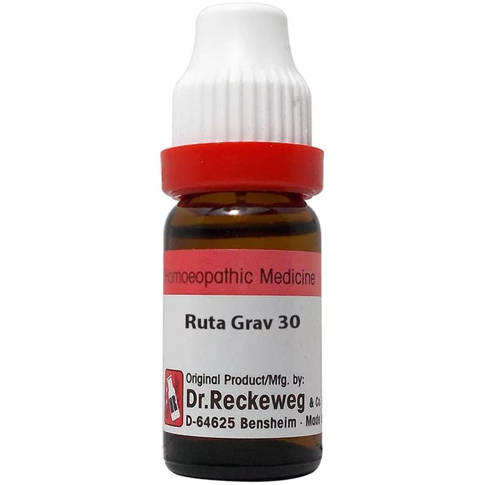 Ruta Graveolens