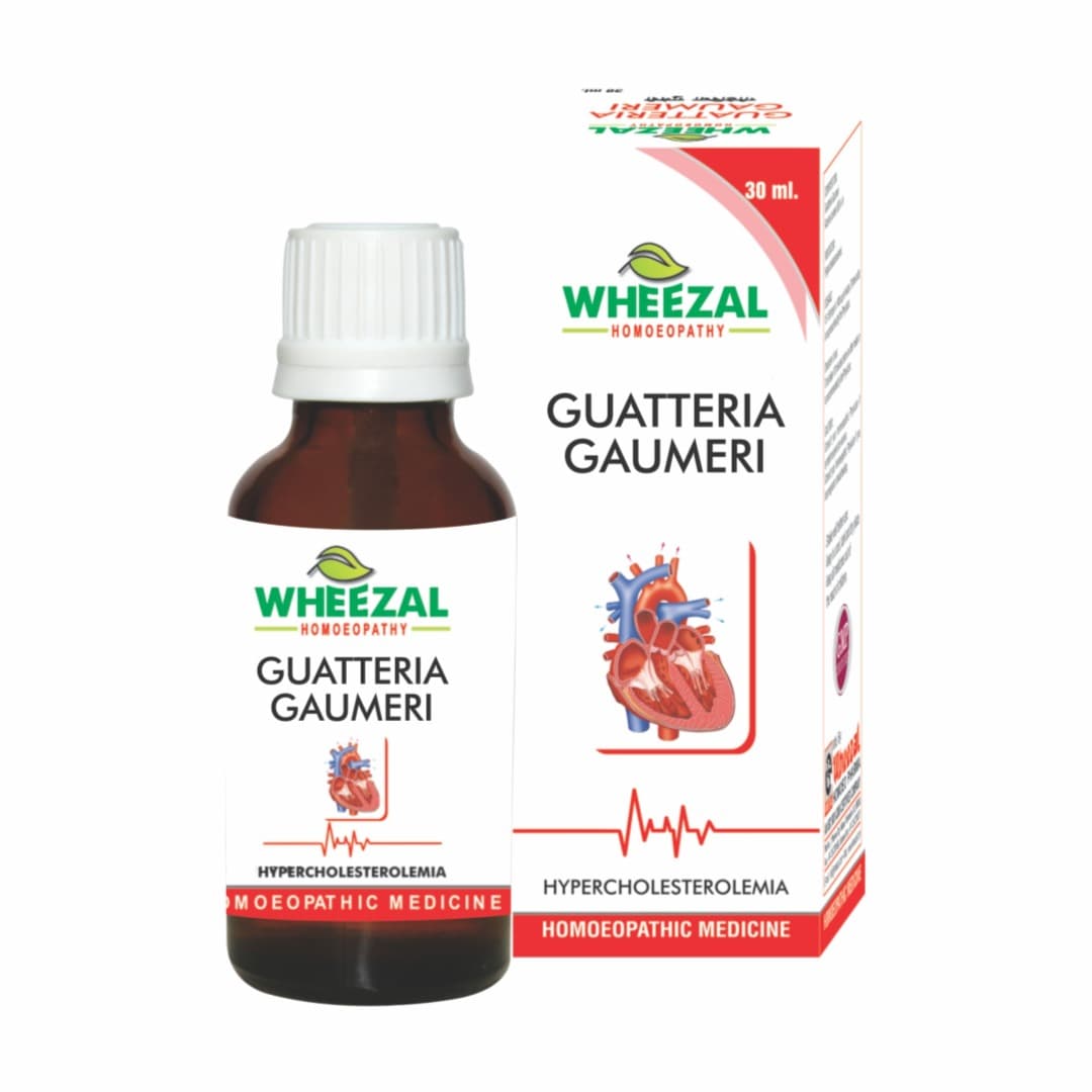 GUATTERIA GAUMERI