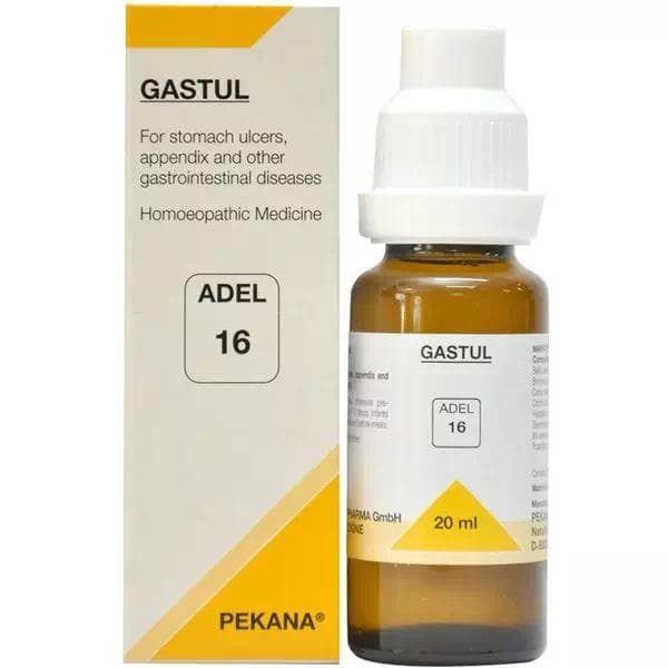 Adel 16 Gastul