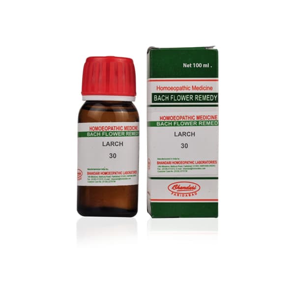 Larch