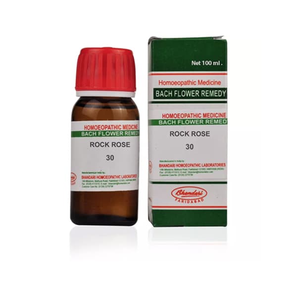 Rock Rose