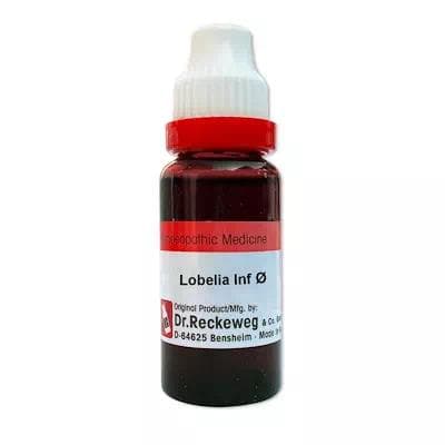 Lobelia Inflata