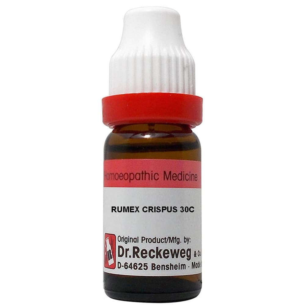 Rumex Crispus