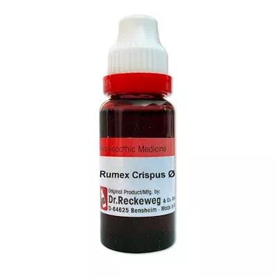 Rumex Crispus