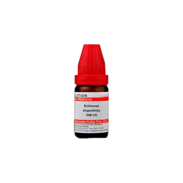 Hypericum Perforatum