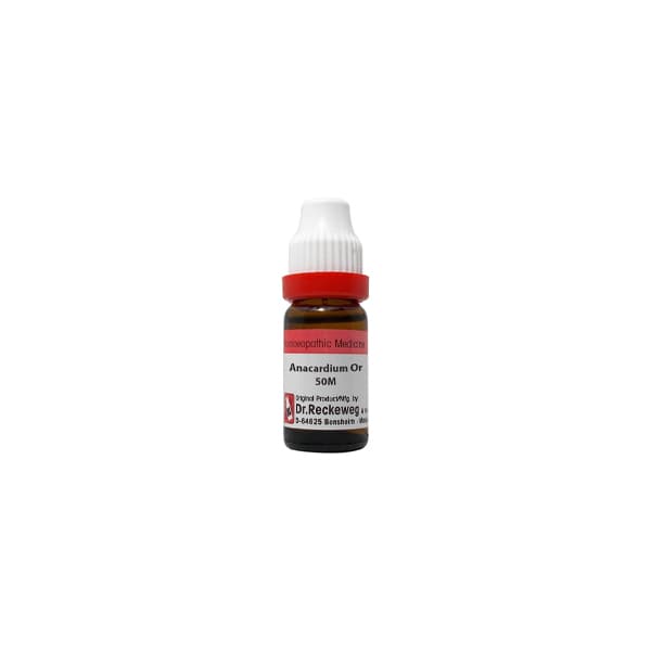 Anacardium Orientale