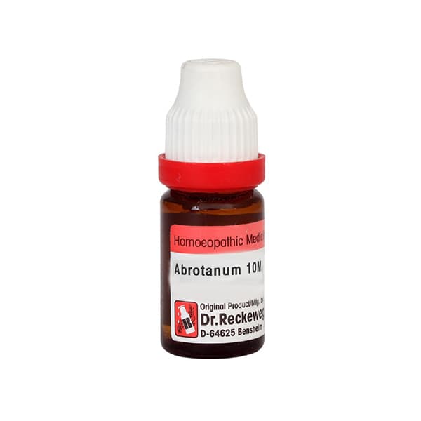 Abrotanum