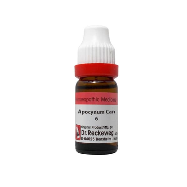 Apocynum Cannabinum