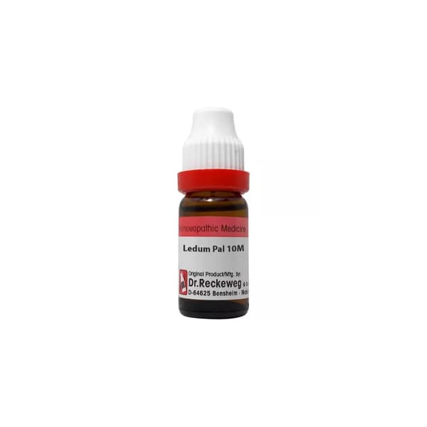 Ledum Palustre