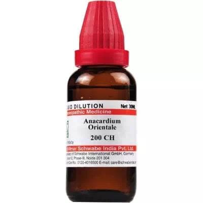 Anacardium Orientale