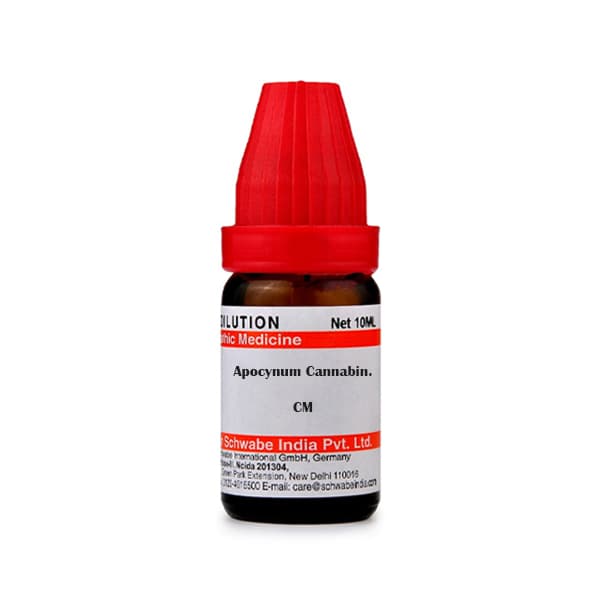 Apocynum Cannabinum