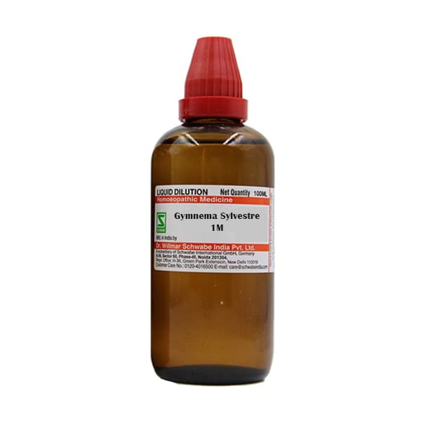 Gymnema Sylvestre