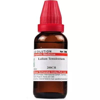 Lolium Temulentum