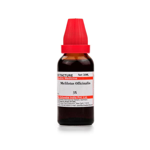 Melilotus Officinalis